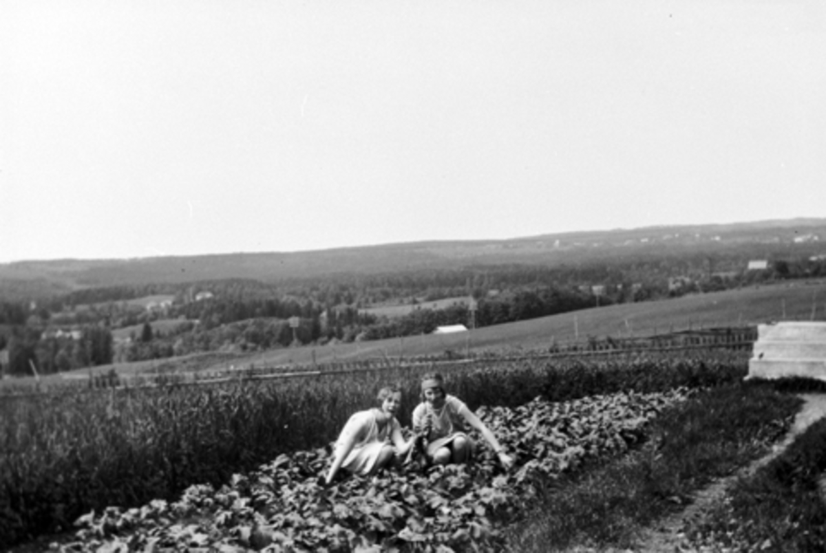 Anno Domkirkeodden, Utsikt over Veldrebygda mot Flisaker, kirken, Koss og Byflaten. 1920-tallet, Ringsaker. To jenter plukker jordbær i forgrunn.