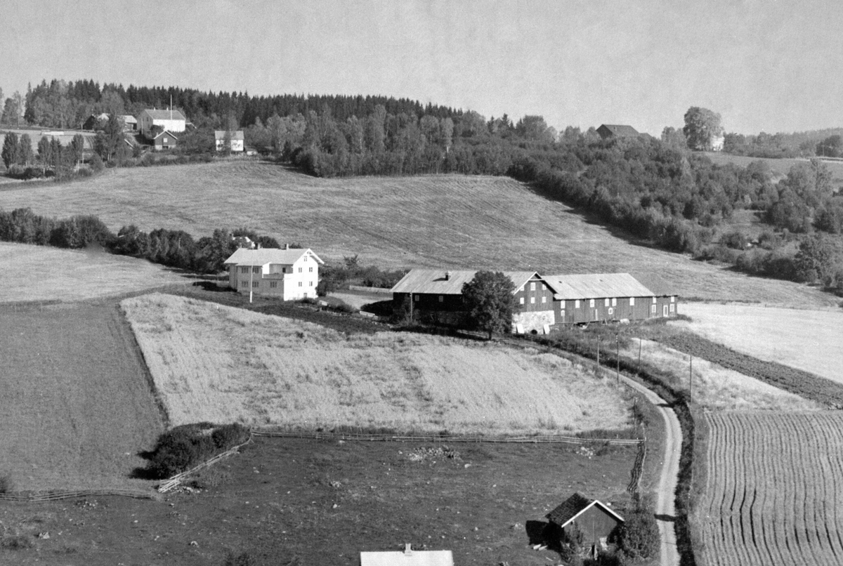 Anno Domkirkeodden, Flyfoto av Faugli, Nes, Hedmark. I bakgrunn er Nylendet.