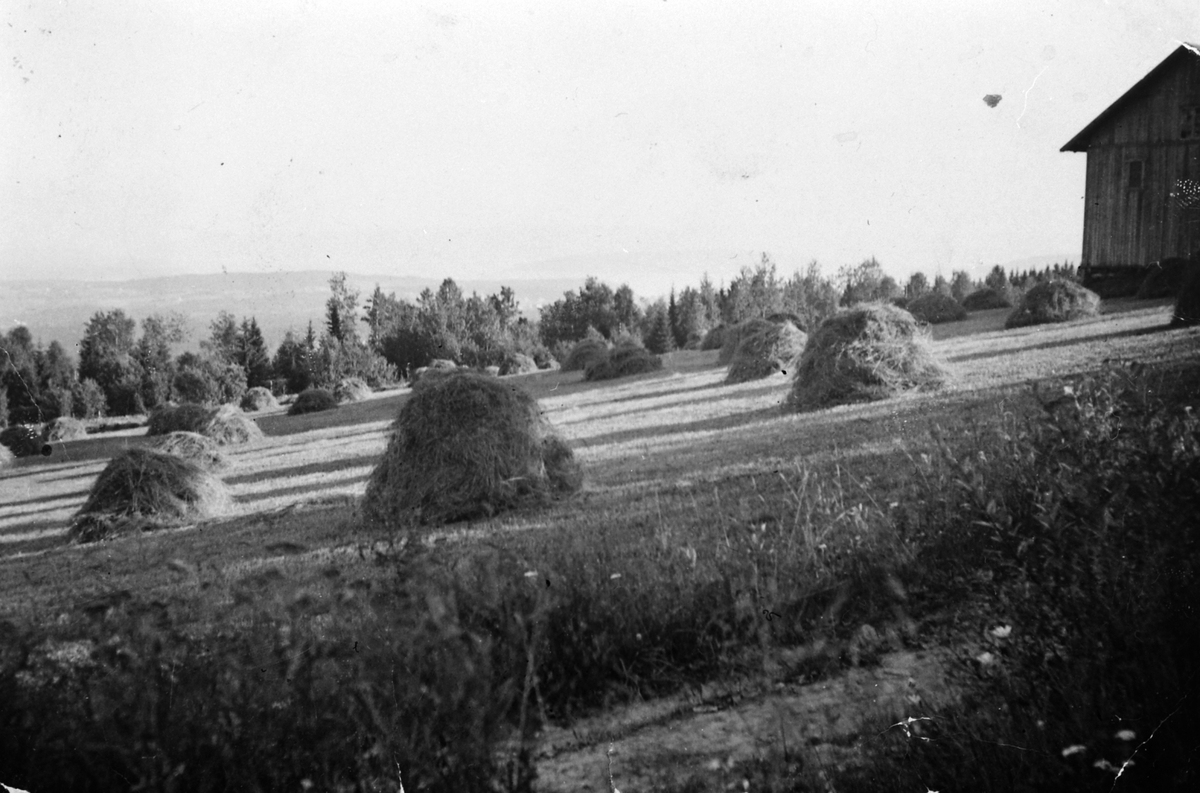 Anno Domkirkeodden, Pinnerudenga, Furnes med høysåter. 1940-45.