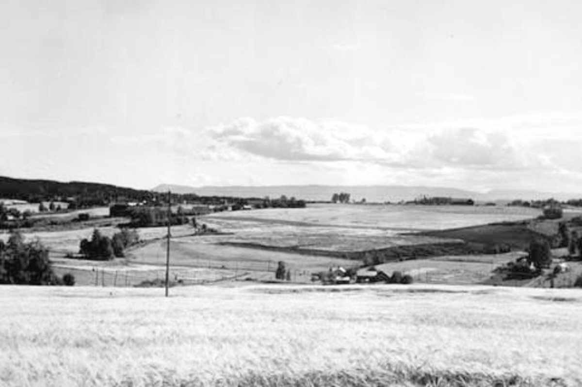 Anno Domkirkeodden, Furnes, Ringsaker. Landskap tatt fra jordene på Håve, Hovin mot Furnes kirke, Dæli gard med åkre.