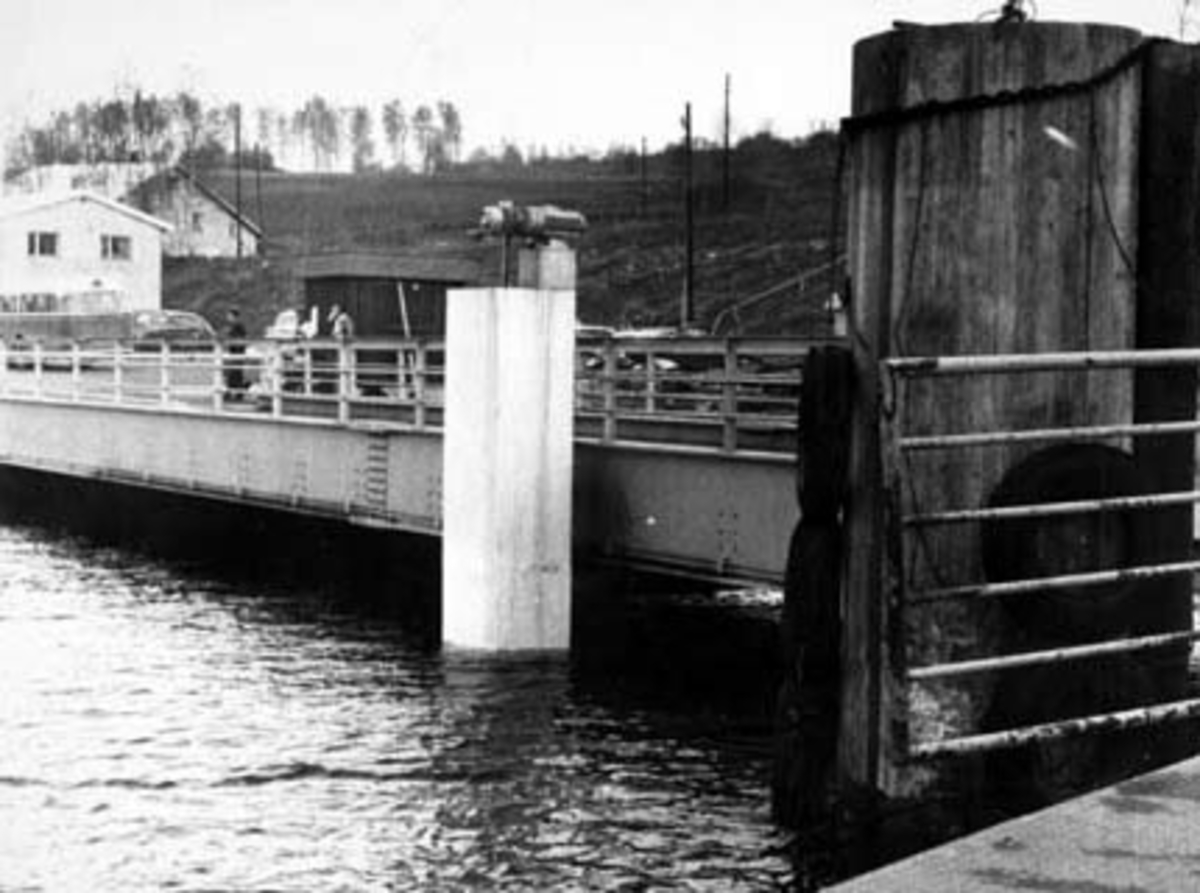 Anno Domkirkeodden, Mengshoel fergested. Flom i Mjøsa i 1966.
