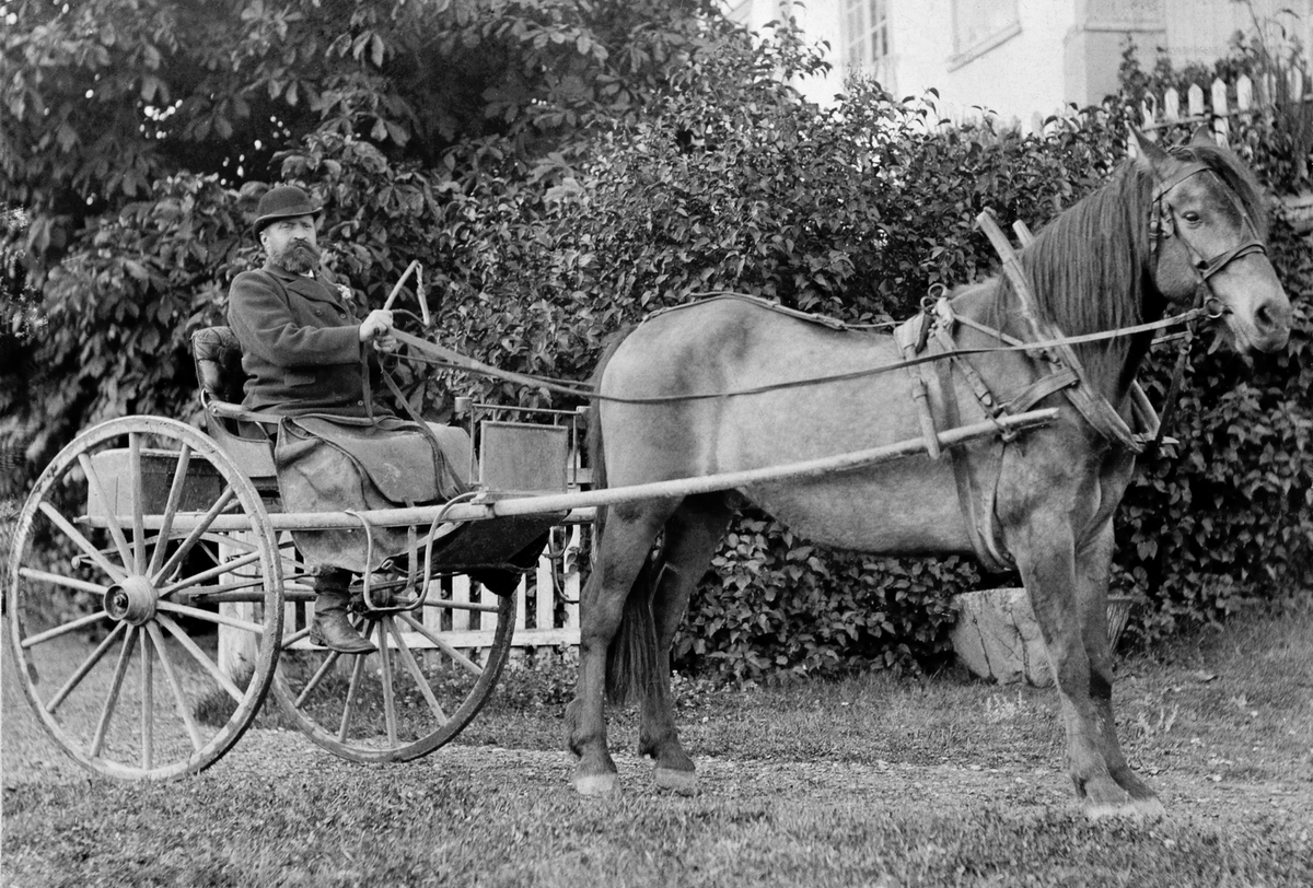 Anno Domkirkeodden, Karl Kildal (1854-1915) med hest og trill på Hoel gård, Nes, Hedmark.