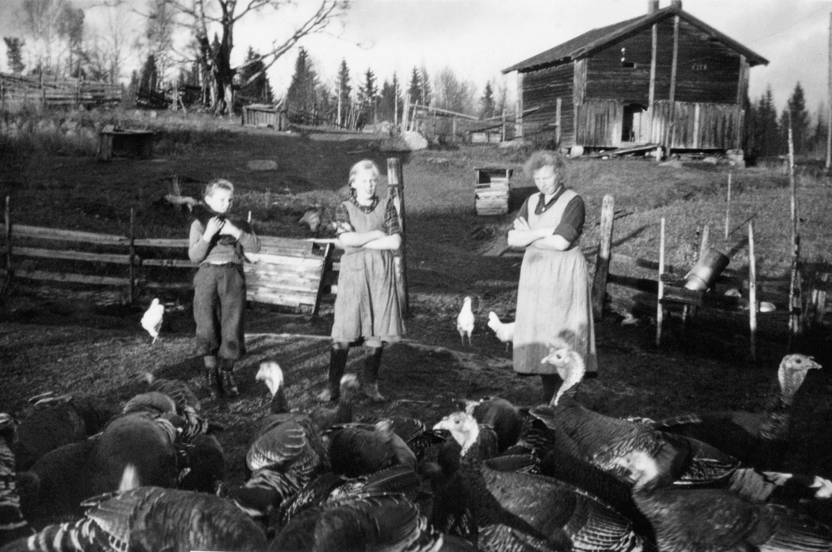 Anno Domkirkeodden, Medlien gård, Ringsaker. Mor Synnøve Medlien (F. Ulven,1894 - 1966) og datter Kristine (1925) med kalkuner mens sønnen Helge (1928) er mer opptatt av katta. Midt på 1930-tallet.