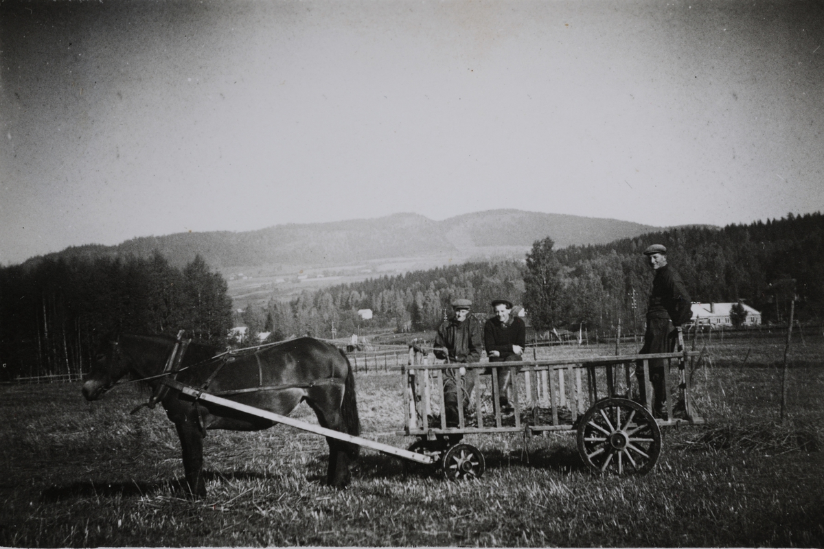 Anno Domkirkeodden, Slåttonn på Momyra, Mo gård, Moelv, Ringsaker. Lokjøring på hest og høyvogn. Fra venstre er Nikolai Kløvstad, Sverre Pettersen, Einar Evensen.