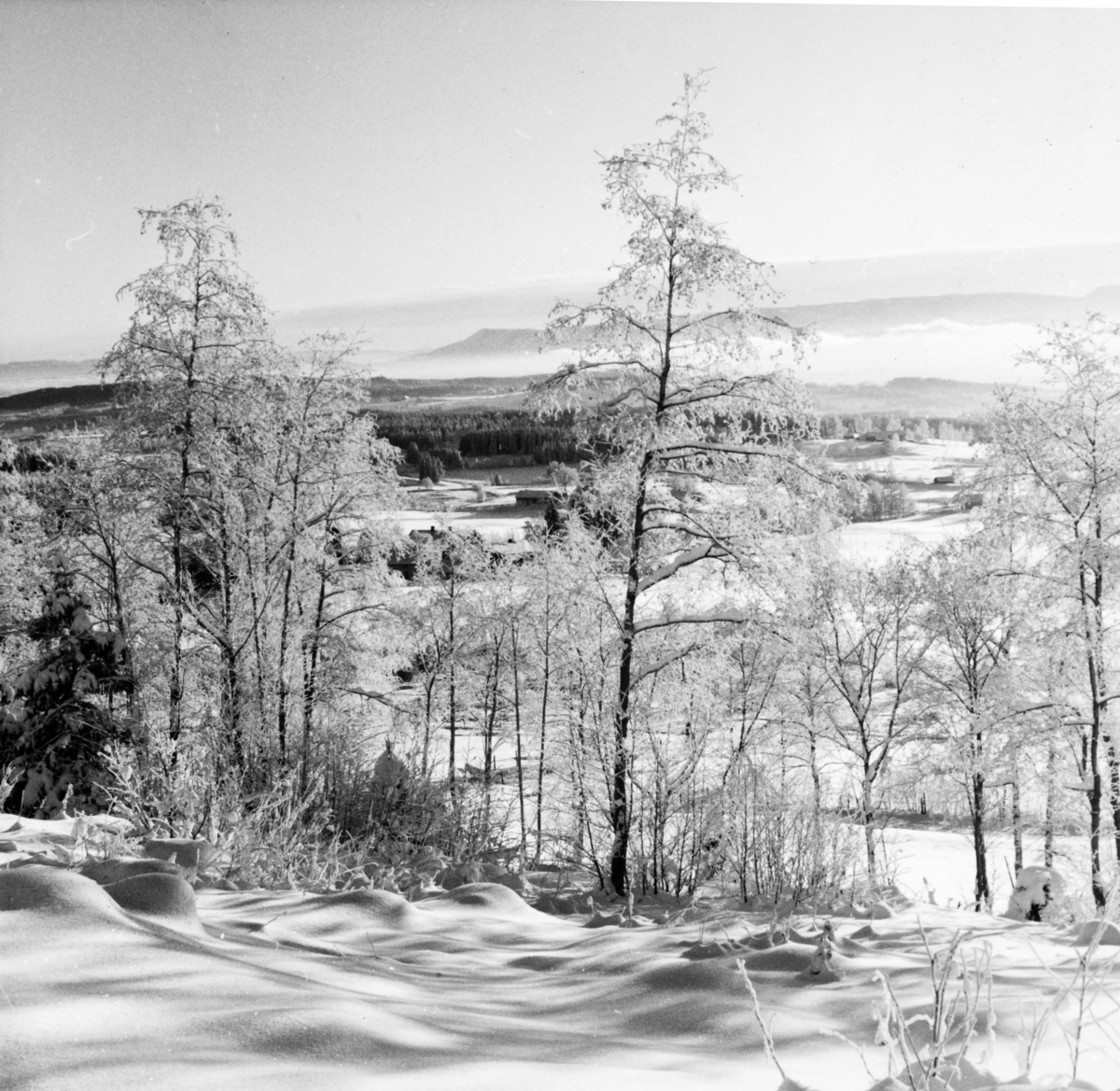 Ukjent, Utsikt ved Høsbjør i Furnes, vinterlandskap