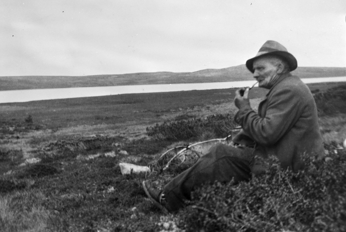 Ukjent, Kongen av Ringsakerfjellet, Ludvig Olestadengen "Ludden", skuer utover sitt rike.