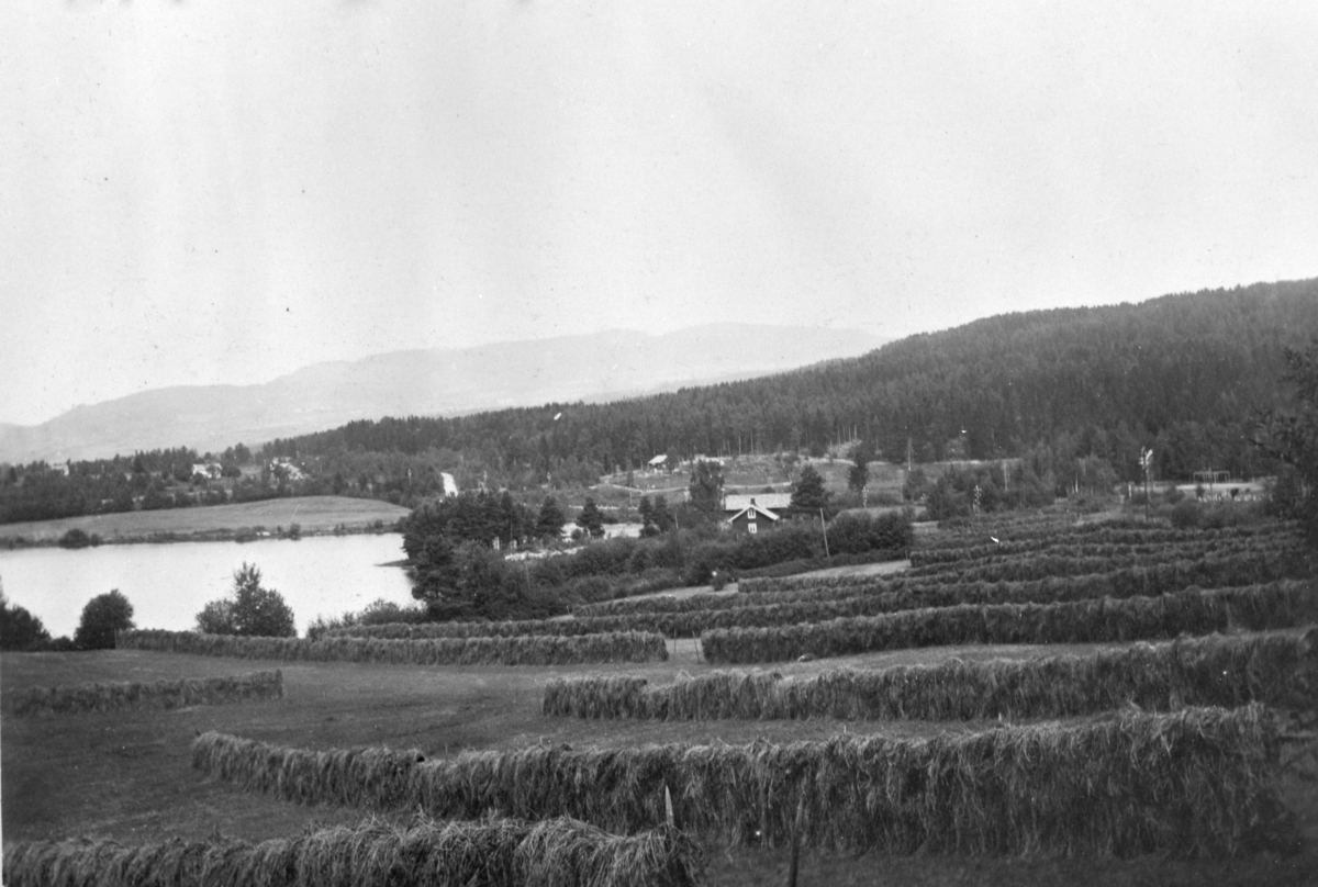 Mikkel Sveinhaug, Korgerstuvika ved Moelv. Høyhesjer, slåttonn, landskap. Høyhesjer på Stein gård, 1924