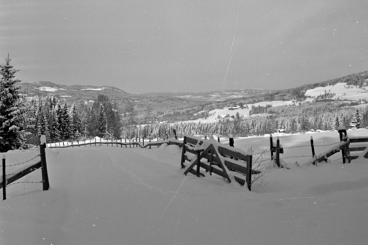 Håkon Prestkværn, Vinterlandskap, Moelv.