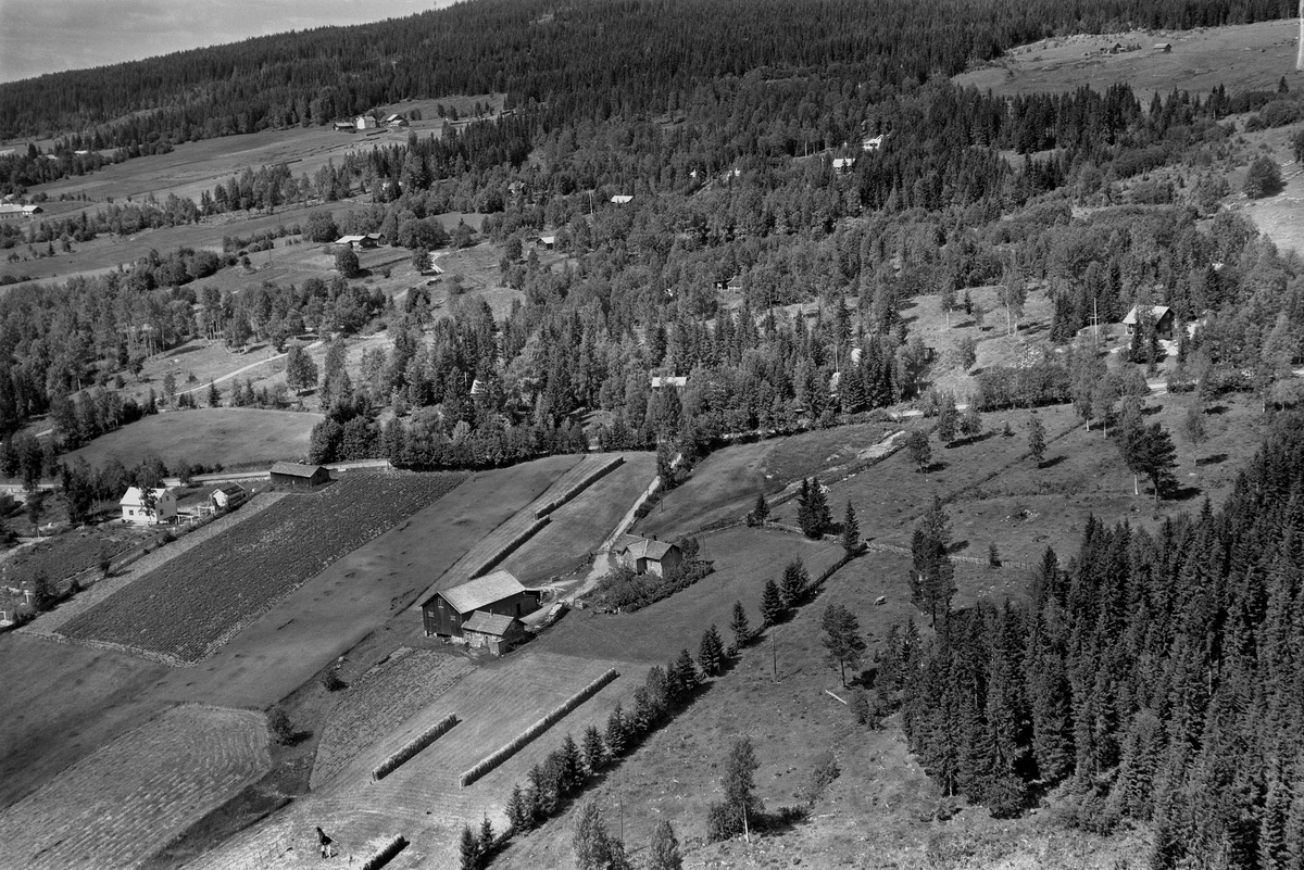 Widerøes Flyveselskap A/S, FLYFOTO TOMTERØDEGÅRDEN ØSTRE