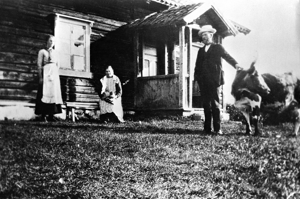 Anno Domkirkeodden, ANNE BRENNHAGEN, GØNNER BRENNHAGEN, LUDVIK BRENNHAGEN, KUA "ALONA", BRENNA