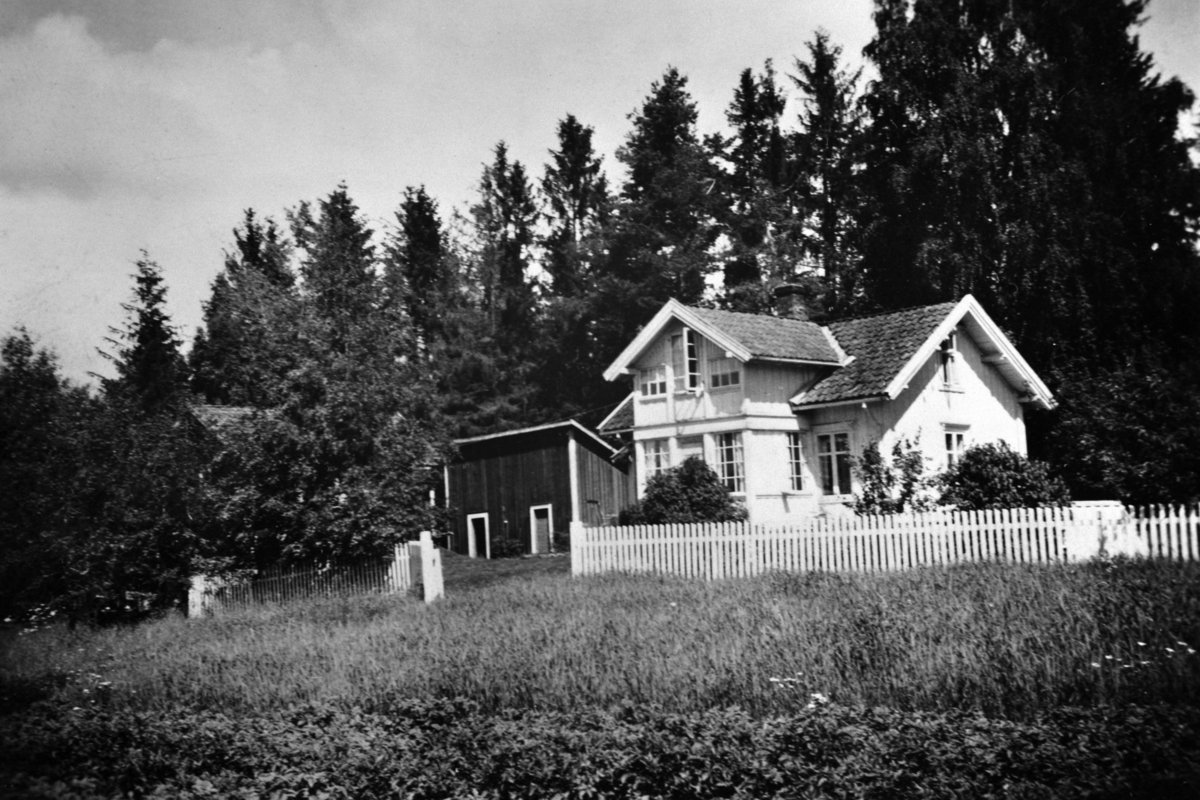 Anno Domkirkeodden, EKSTERIØR: PETERSBORG