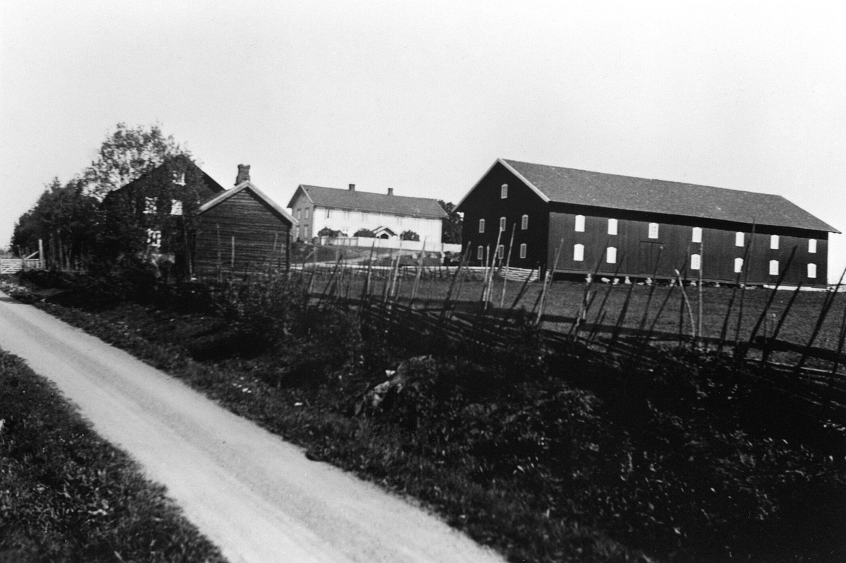 Anno Domkirkeodden, LIBERG GÅRD