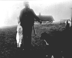 Anno Domkirkeodden, THORKIELD ALDERSLYST FØDT:1885, HAREJAKT, GEVÆR, HUND, FØDERÅDSBYGNINGEN I BAKGRUNNEN, ALDERSLYST