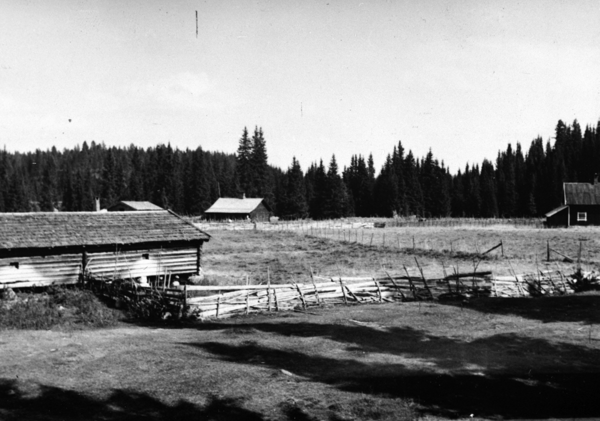 Anno Domkirkeodden, BOLSDALEN SETERVANG, DISENVILLAEN TIL HØYRE, FELLESFJØS, INGEBERG I BAKGRUNNEN, VANG ALLMENNING