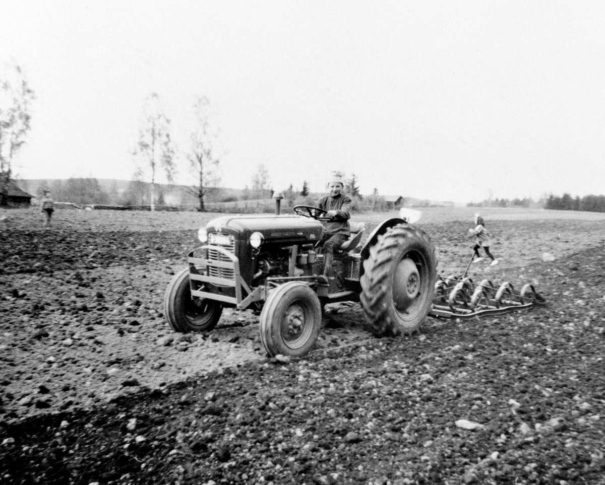 Anno Domkirkeodden, VÅRONN. OLE JACOB TOMTER ( 12 ÅR ) HARVER MED NY TRAKTOR MASSEY FERGUSON 1961 MODELL PÅ MIDTRE ENGJORDET.
