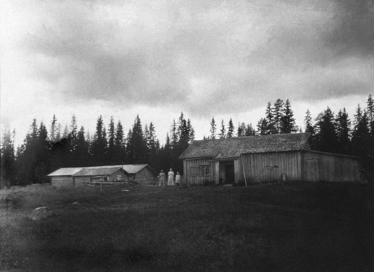 Anno Domkirkeodden, SETERSTØRHUS, KJERNLISETRA, ØSTRE SKOGBYGD
