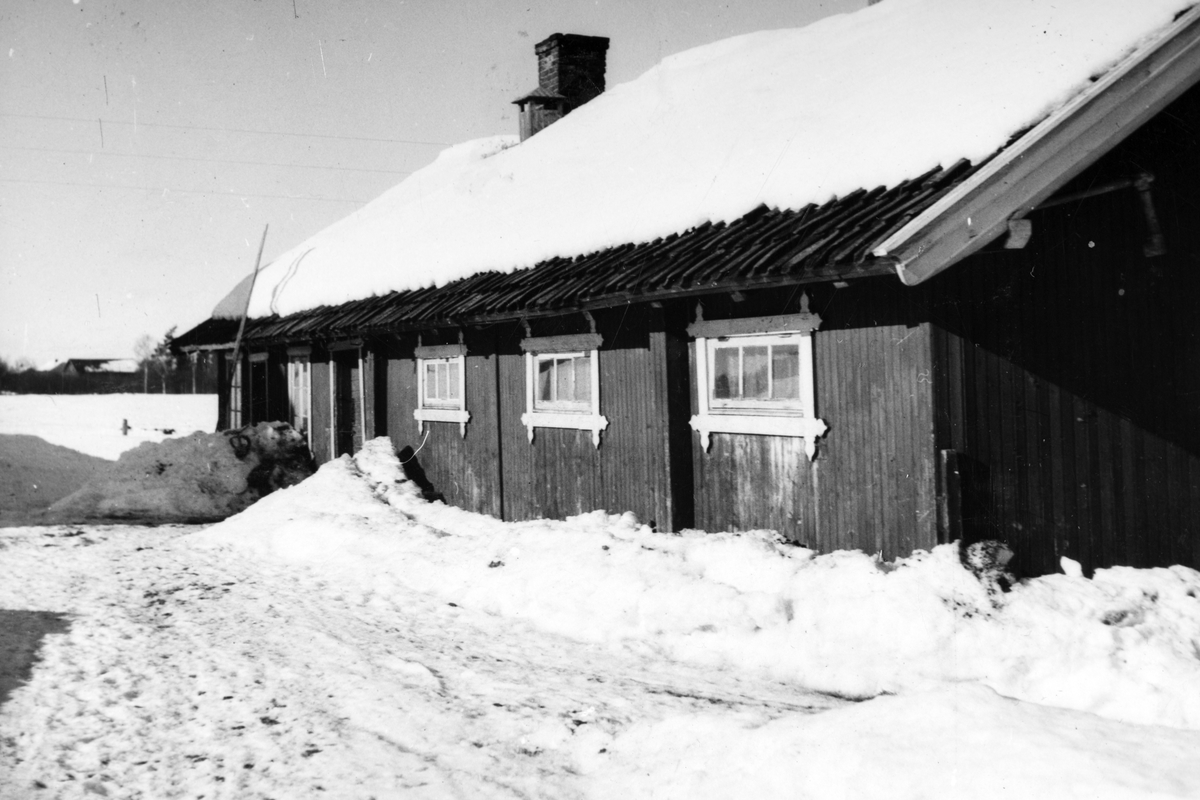 Anno Domkirkeodden, Dyri gard i Løten.