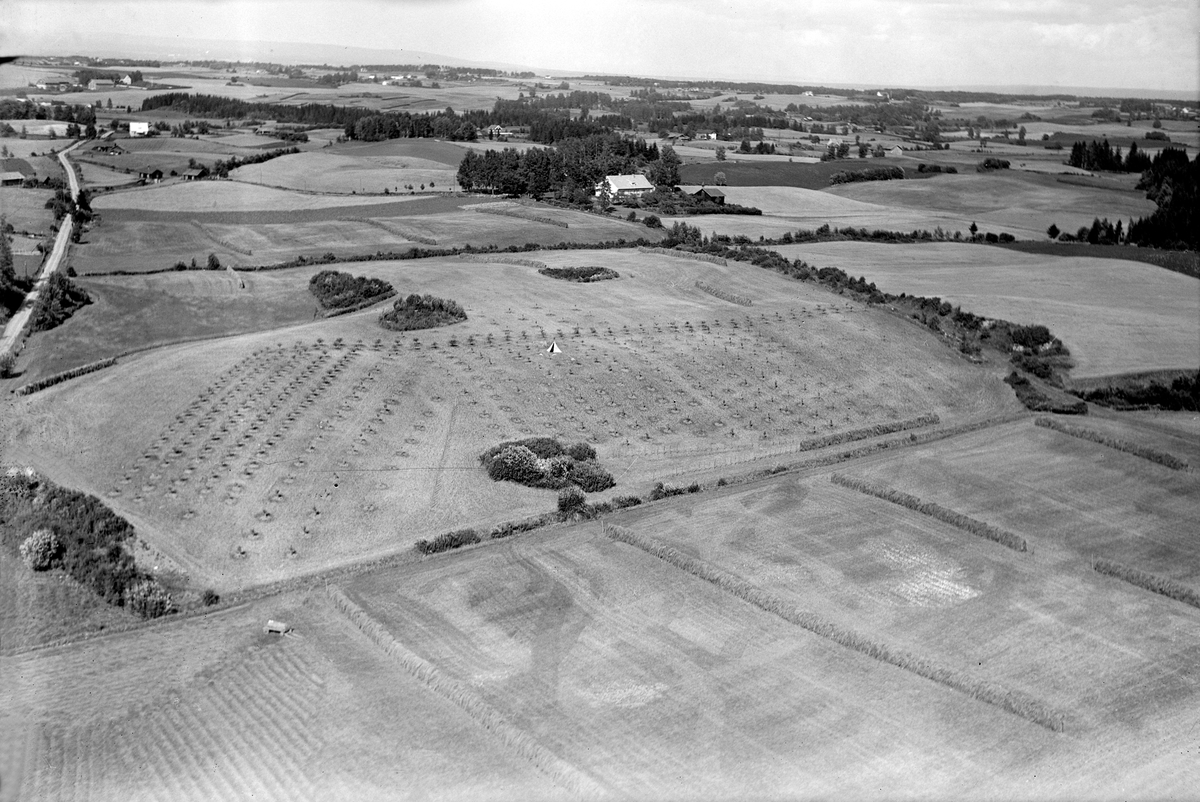 Widerøes Flyveselskap A/S, LANGS VEGEN FRA SAKSLUND - ÅSTERUD - OTTESTAD STASJON. ASPERUD, FLYFOTO. KULTURLANDSKAP, KORNDYRKINGSE OGSÅ 417-18.