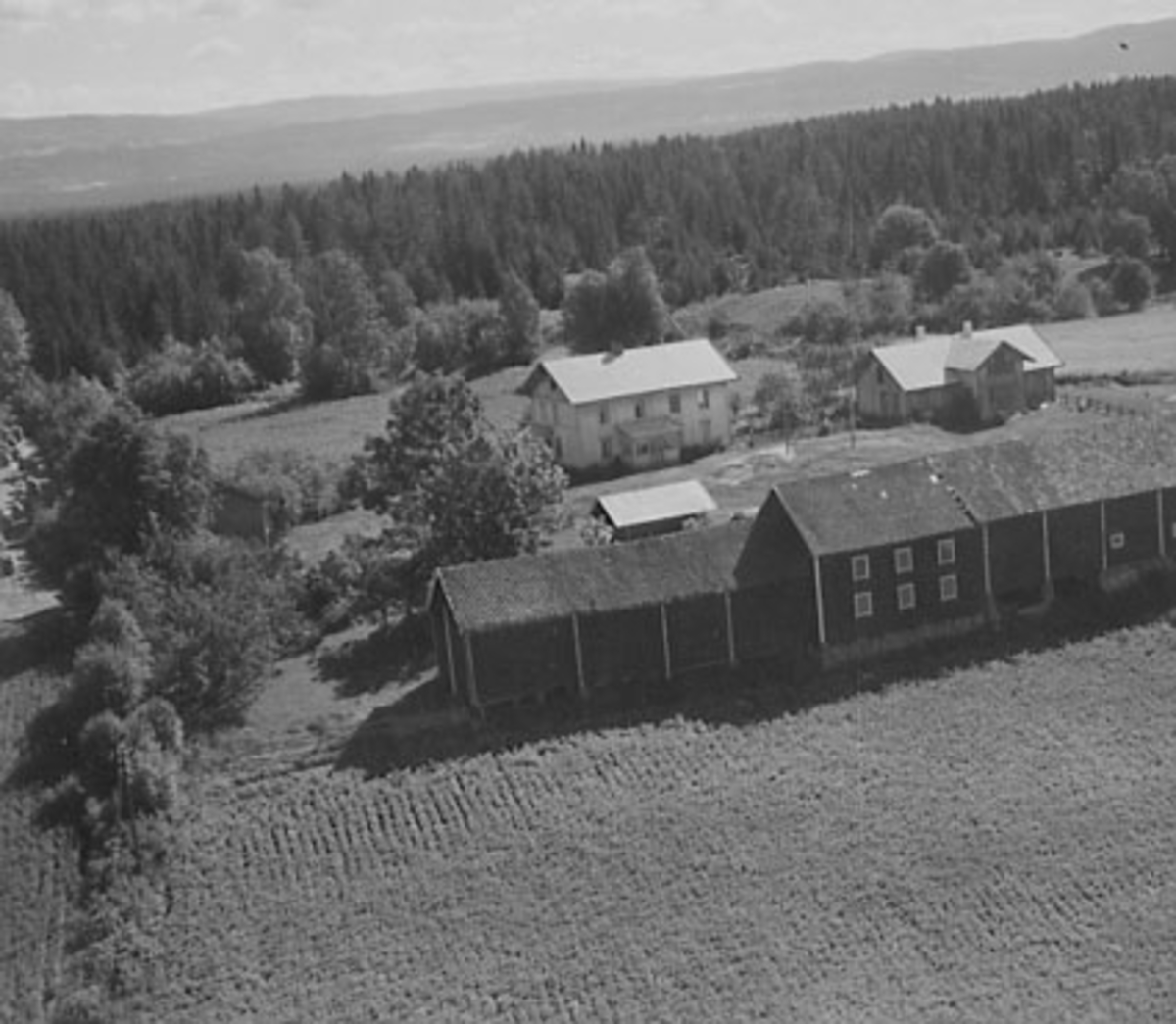 Widerøes Flyveselskap A/S, VAALE GÅRD (VÅLE), FLYFOTO