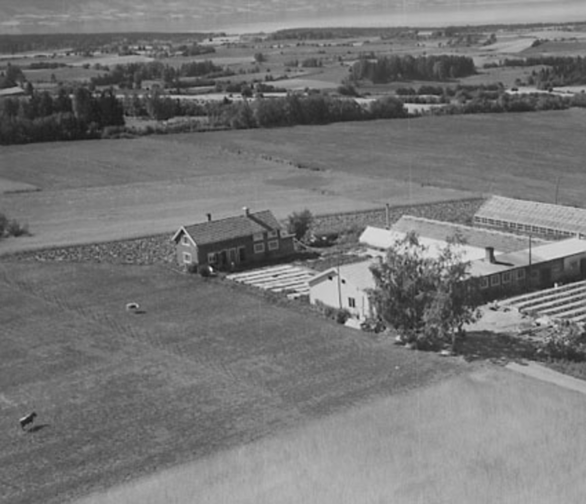 Widerøes Flyveselskap A/S, HERBERG GÅRD, BOD€N (BODEN) GARTNERI, FLYFOTO