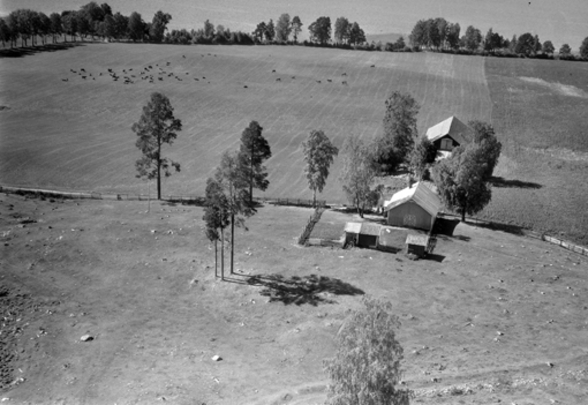 Widerøes Flyveselskap A/S, FLYFOTO, SKOTT-UT HUSMANNSPLASS UNDER ATLUNGSTAD. LÅVEN ER REVET. JORDENE NEDENFOR ER GOLFBANE.
