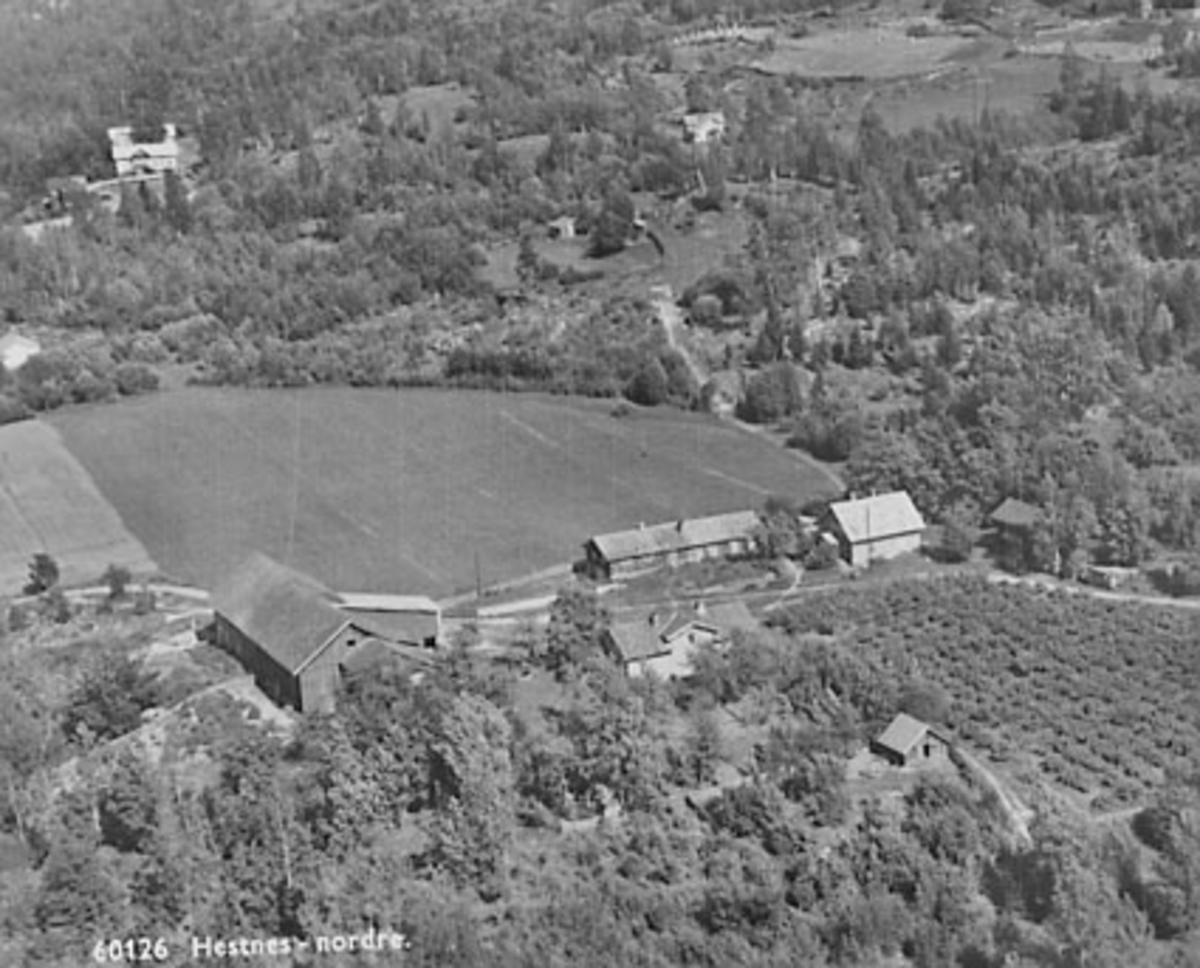 Widerøes Flyveselskap A/S, NORDRE HESTNES GÅRD, FLYFOTO