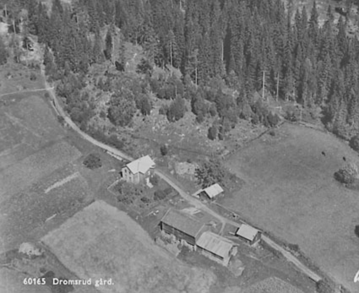 Widerøes Flyveselskap A/S, DROMSRUD GÅRD, FLYFOTO
