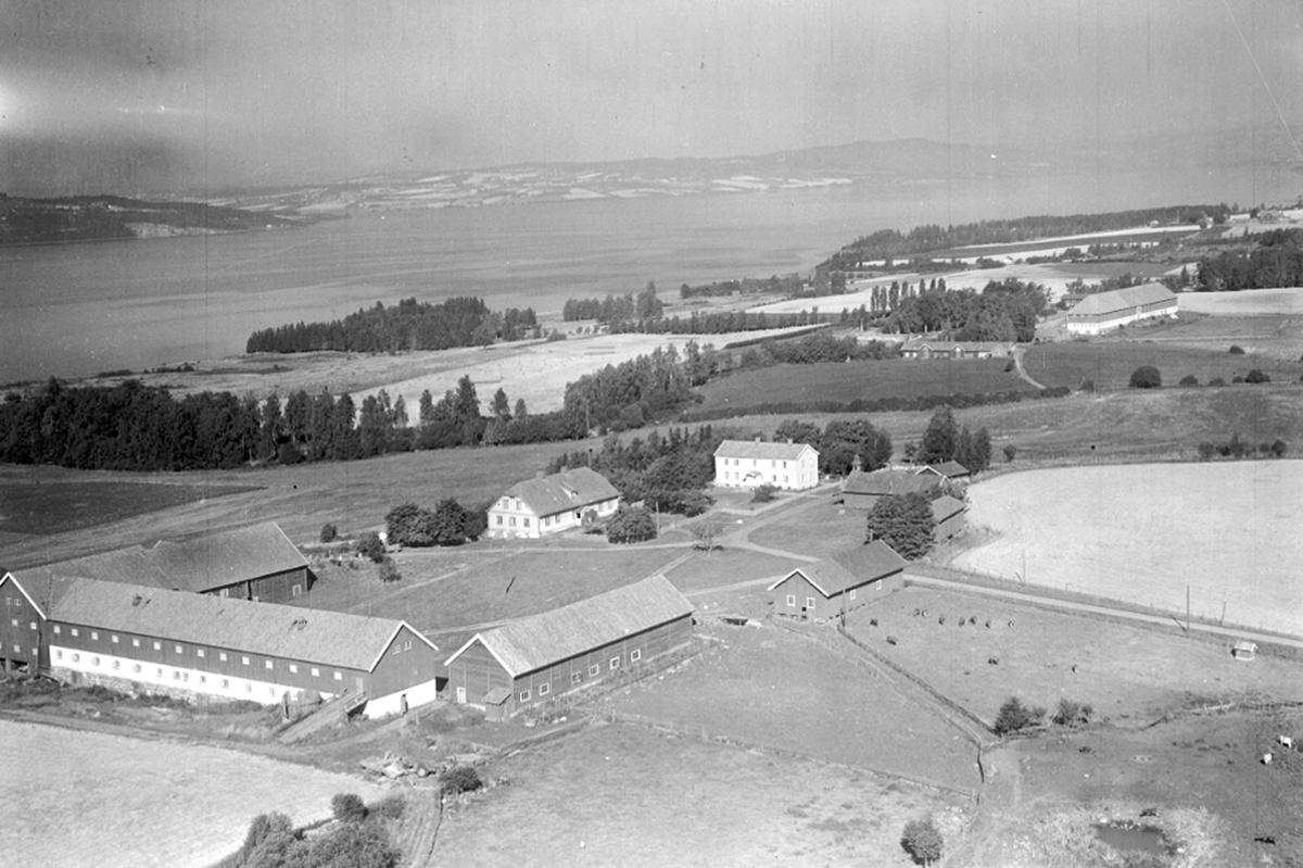 Widerøes Flyveselskap A/S, FLYFOTO HUSEBY, STANGE