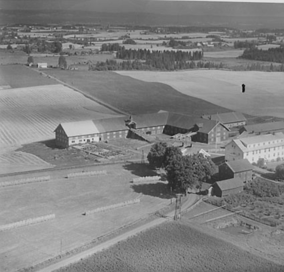 Widerøes Flyveselskap A/S, FLYFOTO FOKHOL, STANGE