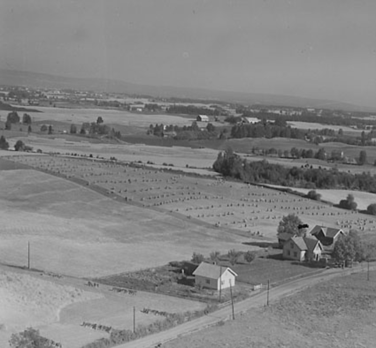 Widerøes Flyveselskap A/S, FLYFOTO SØGÅRD, STANGE