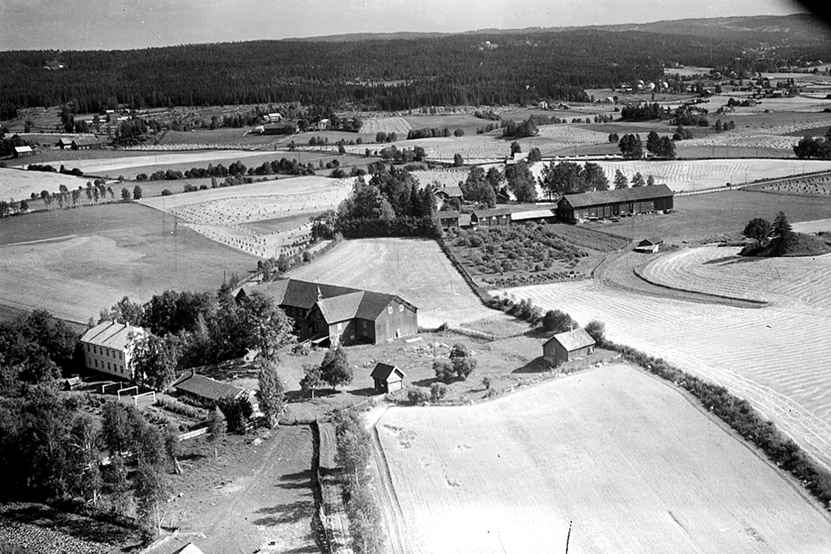 Widerøes Flyveselskap A/S, FLYFOTO GAUSTAD SØNDRE 232-1, GAUSTAD NORDRE 233-1, ROMEDAL