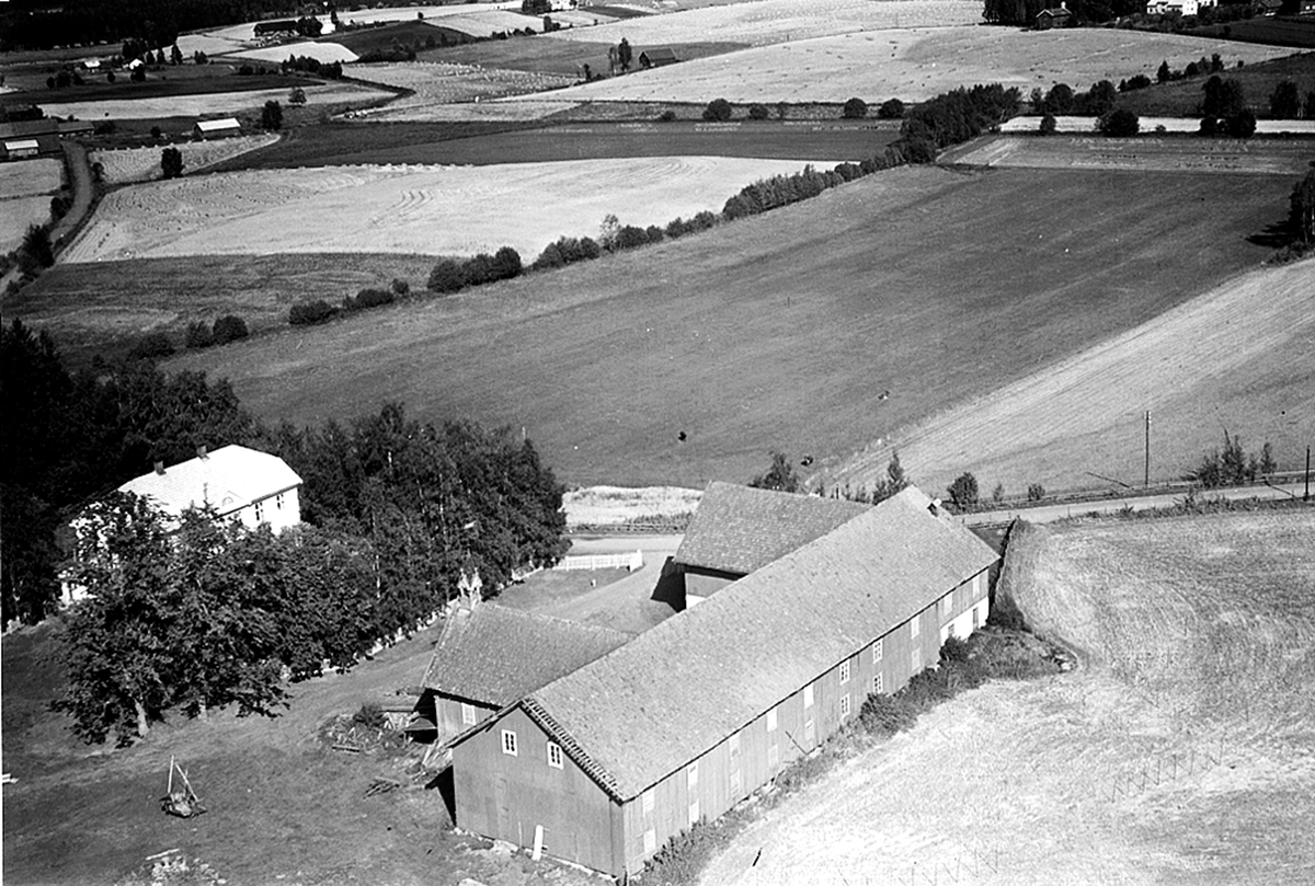 Widerøes Flyveselskap A/S, FLYFOTO GAUSTAD NORDRE 233-1, ROMEDAL