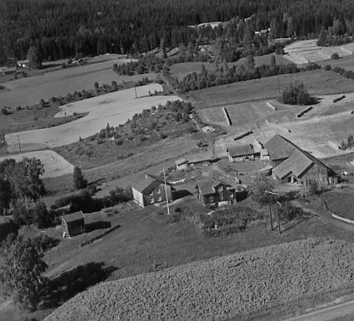 Widerøes Flyveselskap A/S, FLYFOTO SKOGSRUD, TANGEN