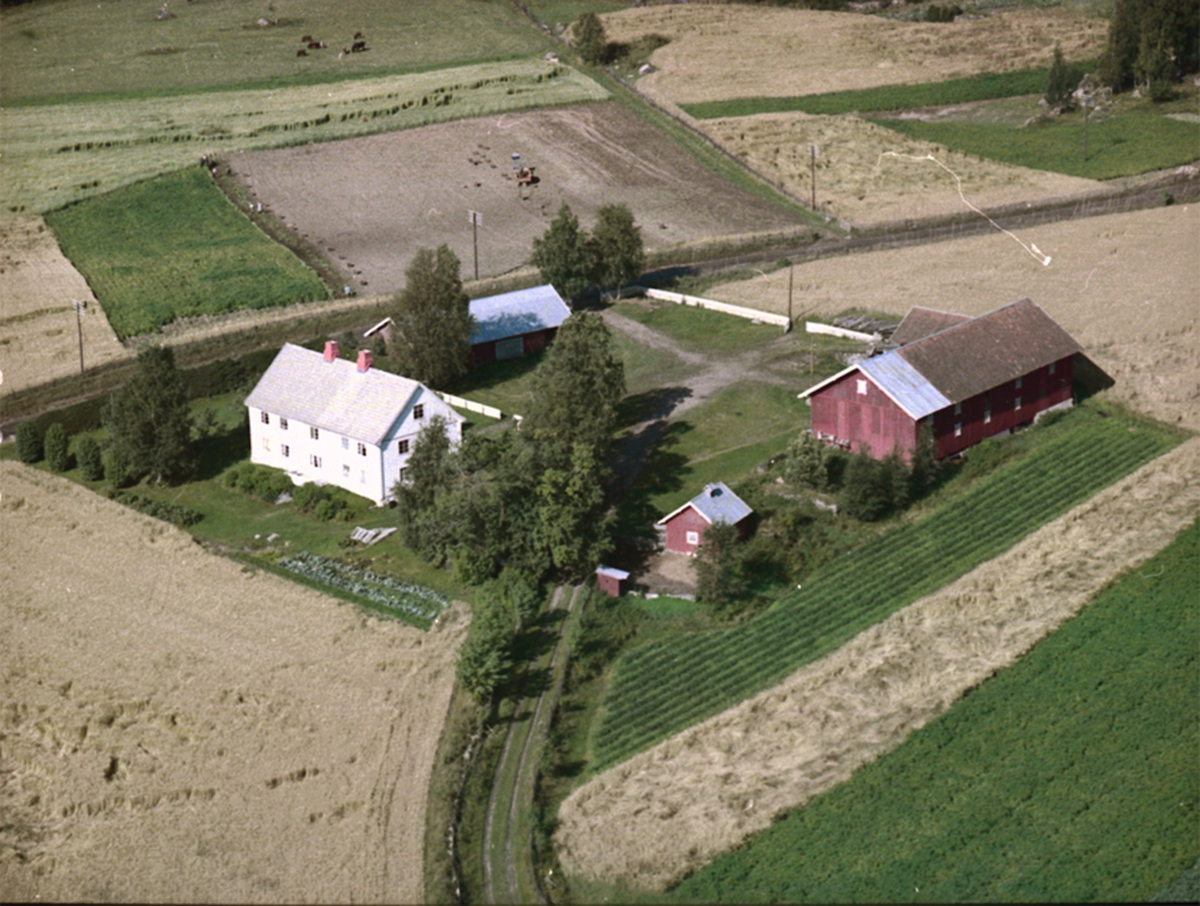 Widerøes Flyveselskap A/S, FLYFOTO KOLOEN, TANGEN