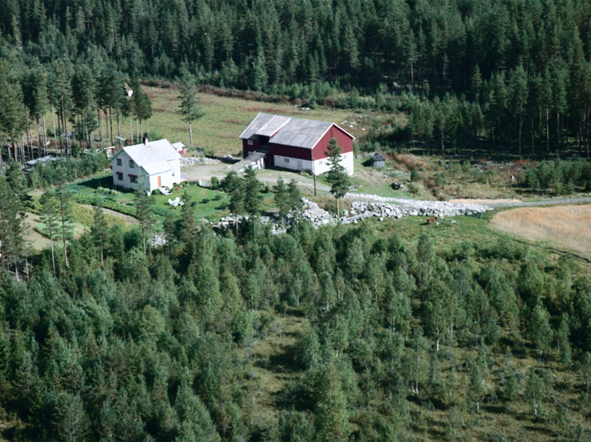 Widerøes Flyveselskap A/S, FLYFOTO GRANHEIM, TANGEN
