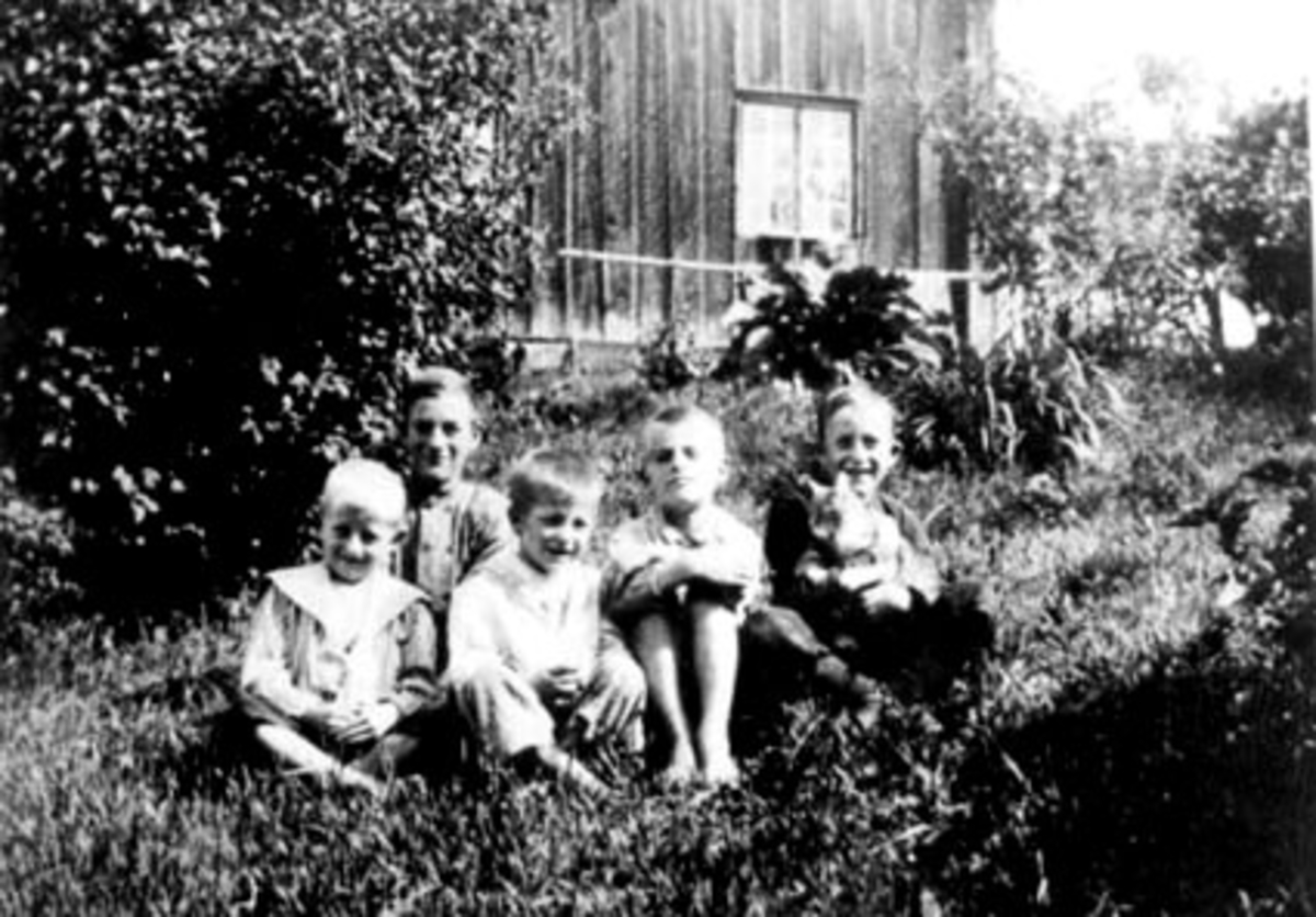 Anno Domkirkeodden, EKSTERIØR: HUSMANNSPLASS, SLEPPEN, GRUPPE: 5 BARN FRA VENSTRE: ARNE SLEPPEN, MATHIAS SLEPPEN, MARTIN SLEPPEN, VALTER JOHANSEN, JOHAN SLEPPEN,