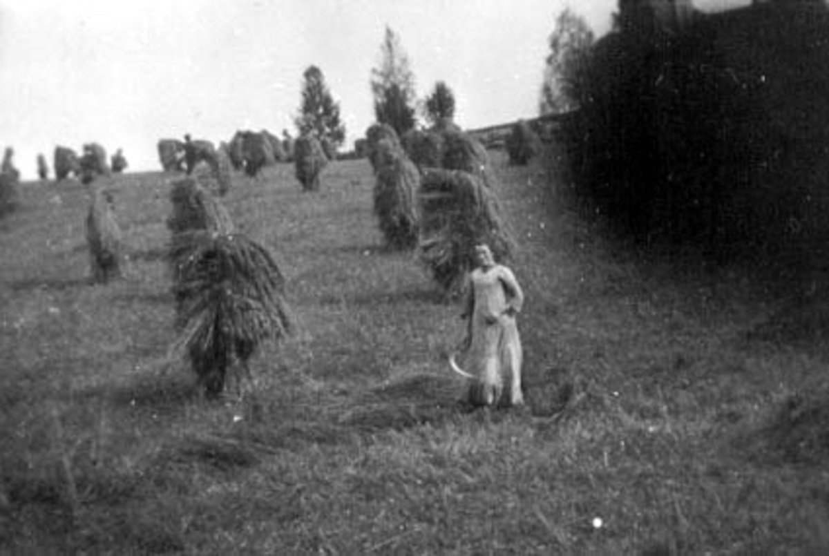 Anno Domkirkeodden, SKURONN MED SKYRU, TOMTER, KORNSNES, OTTINE VOLDEN FØDT: 1878, TOMTER GÅRD,