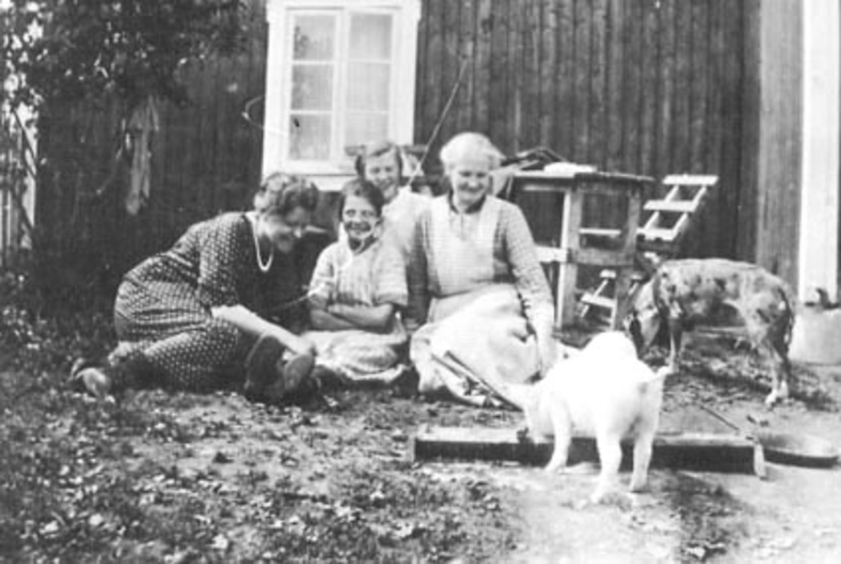 Anno Domkirkeodden, GRUPPE: 4, FRA VENSTRE: UKJENT, ANNA ALLBAKKEN, OLGA FALLBAKKEN, PAULINE FALLBAKKEN, GRISUNGE, HUND, FALLBAKKEN, ROMEDAL