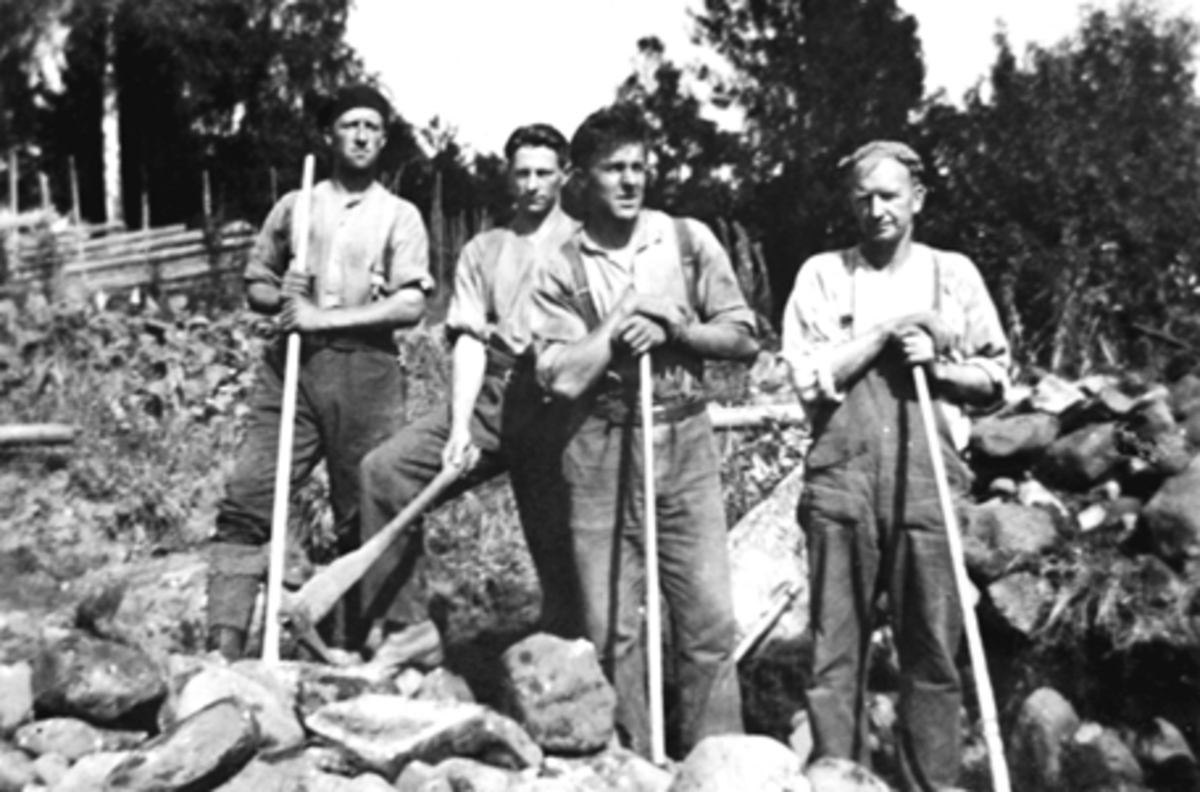 Anno Domkirkeodden, ÅKERGRAVING, STEINRYDDING, GRUPPE: 4 MENN, FRA VENSTRE: OLE HARASETH, ARNE LUDVIGSEN, PER MOSHAUG, SIGURD ENGEN, ROSENLUND, VALLSET, HAKKE OG SPETT