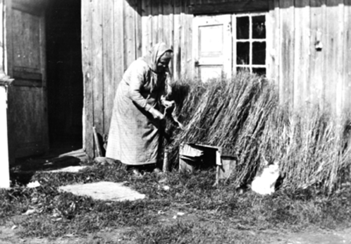 Anno Domkirkeodden, PORTRETT: MATHEA STRUPERUDENGEN FØDT: 1842, TØRKER LIN VED VEGGEN, STRUPERUDENGEN, VALLSET,