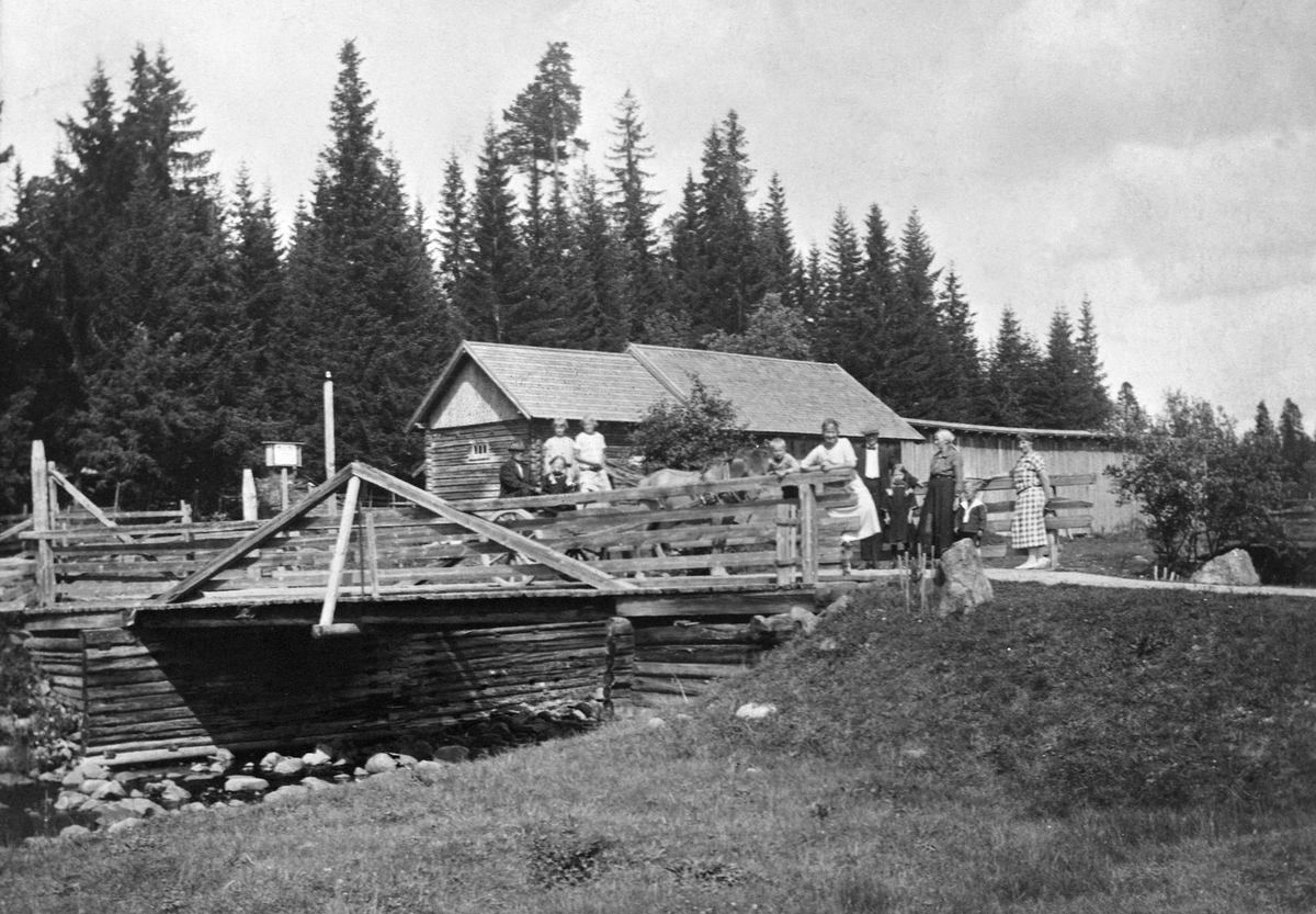 Anno Domkirkeodden, TIL SETERS, OLE TROSVIK MED FØLGE TIL LALUMSVANGEN SETER, BRUA PÅ GAMMELSAGA