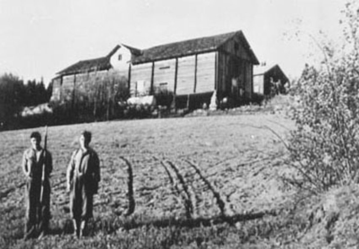 Anno Domkirkeodden, EKSTERIØR: GARDSBRUK. TØSTI STORE, STOR TØSTI, LÅVEN, GRUPPE: 2, MAGNUS, ODD I FORGRUNNEN, VALLSET