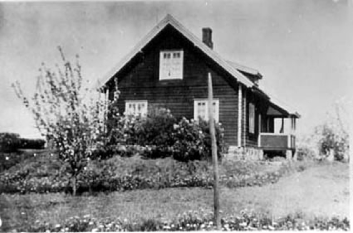 Anno Domkirkeodden, EKSTERIØR: BOLIG, HOLT, OTTESTAD