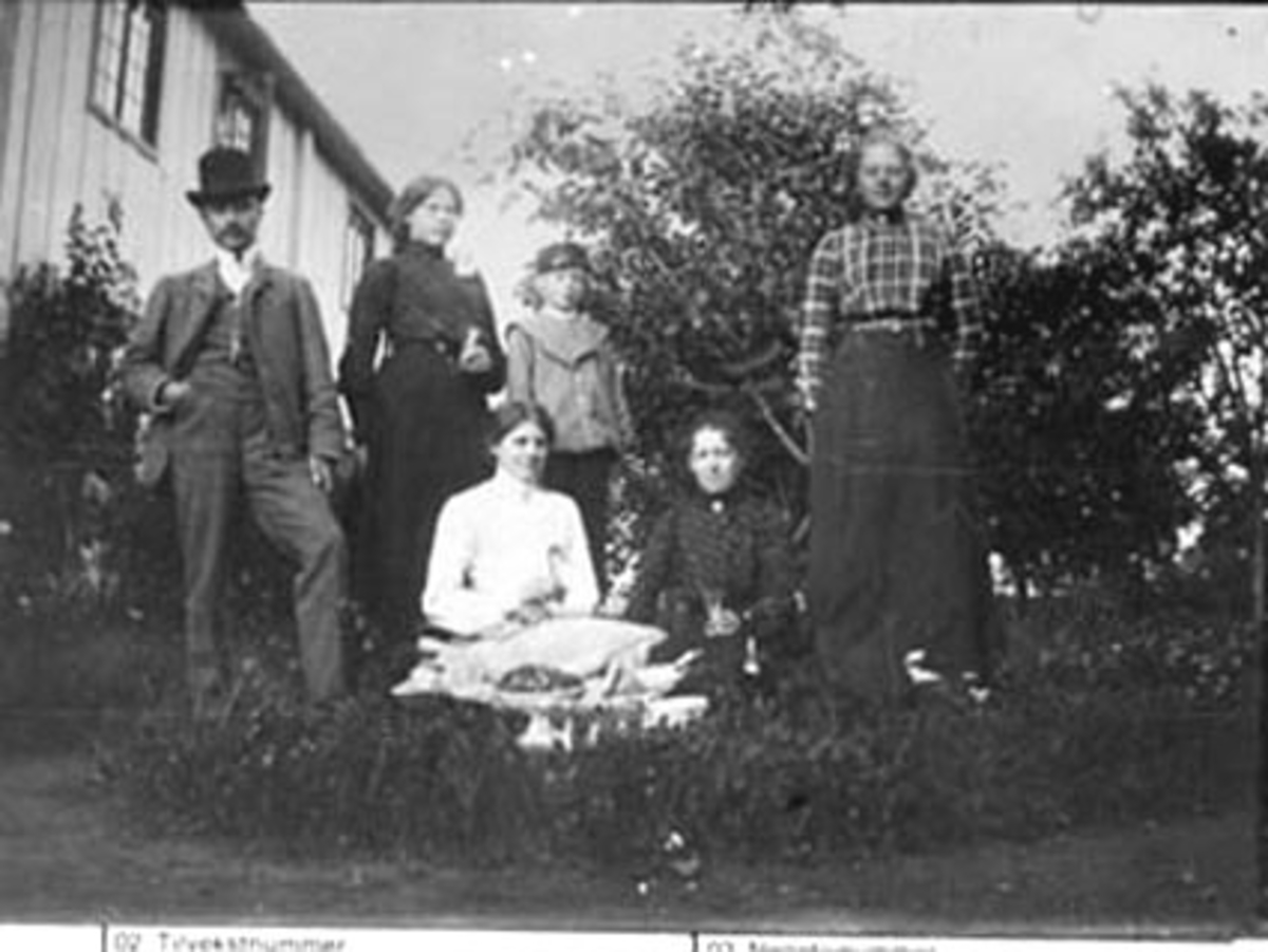 Anno Domkirkeodden, EKSTERIØR: HOVEDBYGNING, ARNEBERG NORDRE, HAGE, GRUPPE: 6, ARNEBERG, ROMEDAL