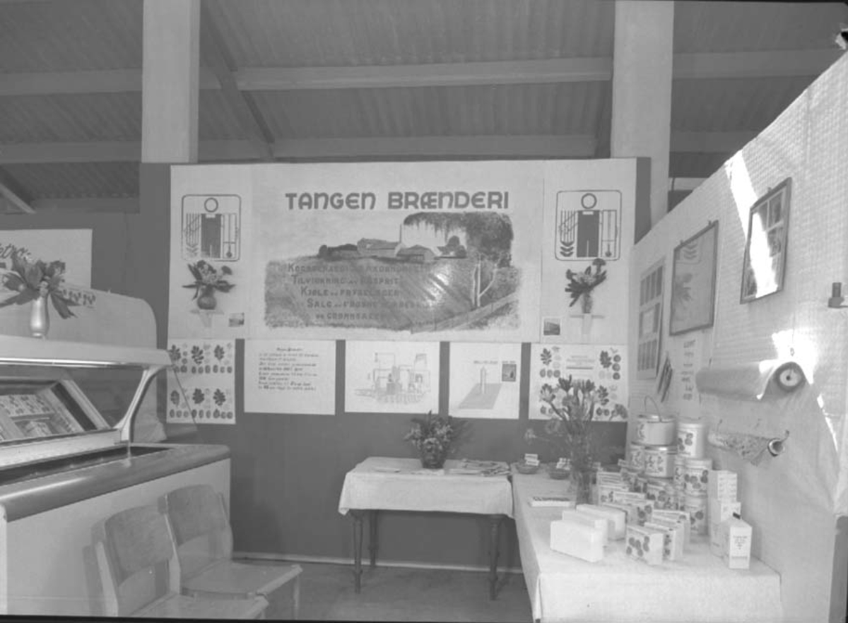 Anno Domkirkeodden, STANGE BYGDEUTSTILLING, UTSTILLINGSPLASSEN, HAMAR, TANGEN BRÆNDERI