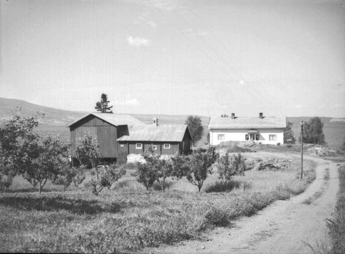 Anno Domkirkeodden, EKSTERIØR: FRANGSTØEN GÅRD,