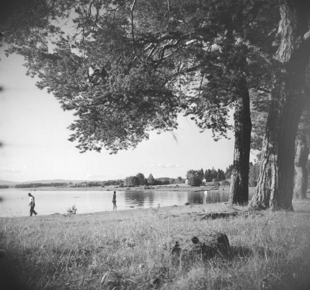 Anno Domkirkeodden, BADELIV HESTENEBBEN, STRAND UNDER VEEN GÅRD, GILLUNDSTRANDA