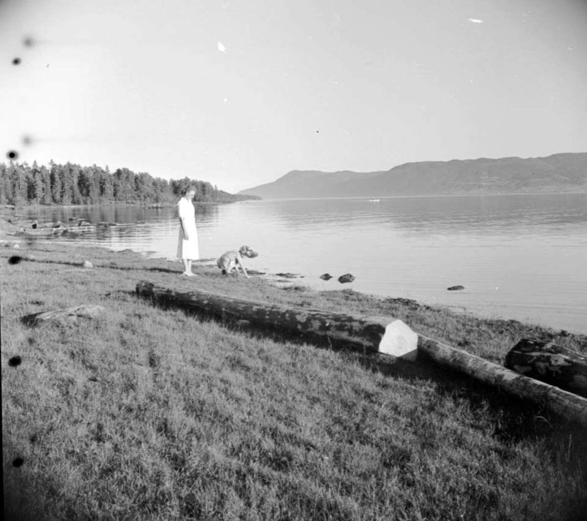 Anno Domkirkeodden, UTSIKT FRA FRANGSTUA, MJØSA