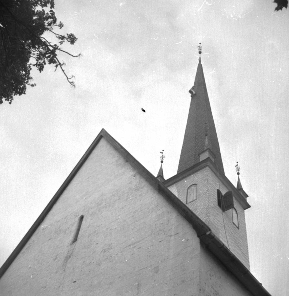 Anno Domkirkeodden, STANGE KIRKE, OPPUSSING, MALING, KLATRING TÅRNET, MALER DAHL