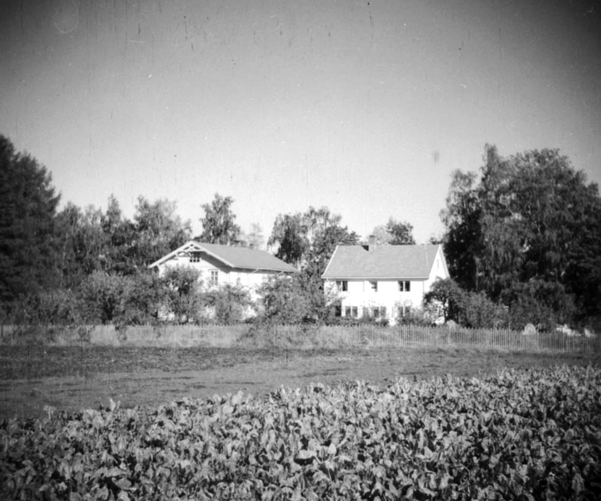Anno Domkirkeodden, EKSTERIØR: 2 HUS, LINDSTAD GÅRD,